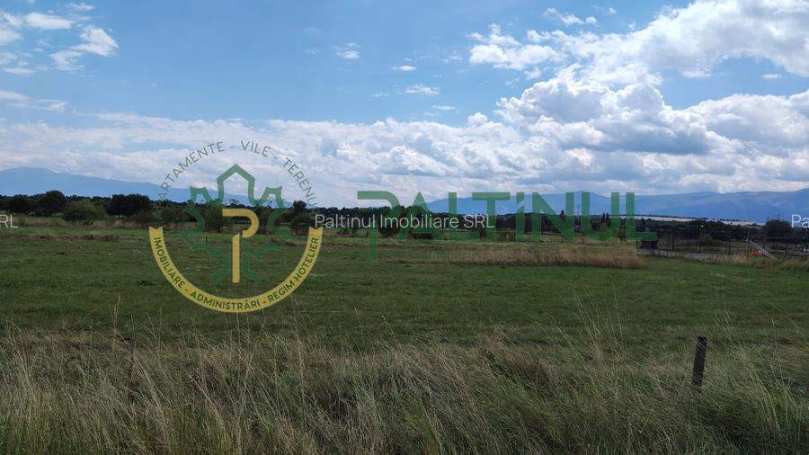 Teren intravilan in cartierul arhitectilor, Sibiu - 8