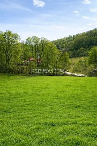 TEREN DE VANZARE -DEALURILE SULTANULUI - 2