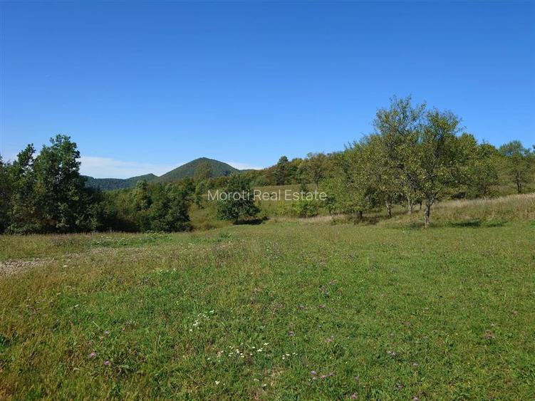 Teren intravilan 8757 mp cu acces direct la E79 - 4