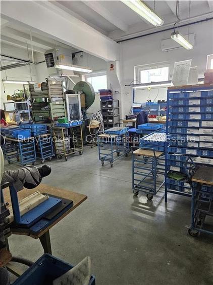 Exclusivitate - Proprietate Industriala De Vanzare - Productie - Depozitare - 12