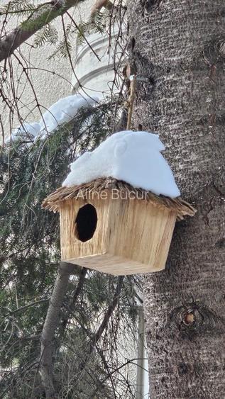 Apartament superb in vila zona Matei Basarab - 10