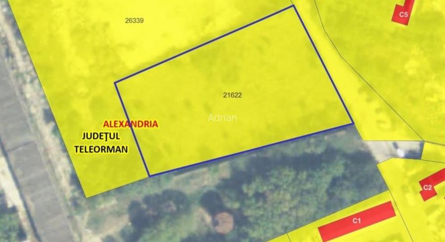 4000 mp Alexandria intravilan pretabil Hala,Salon,parcare - 2