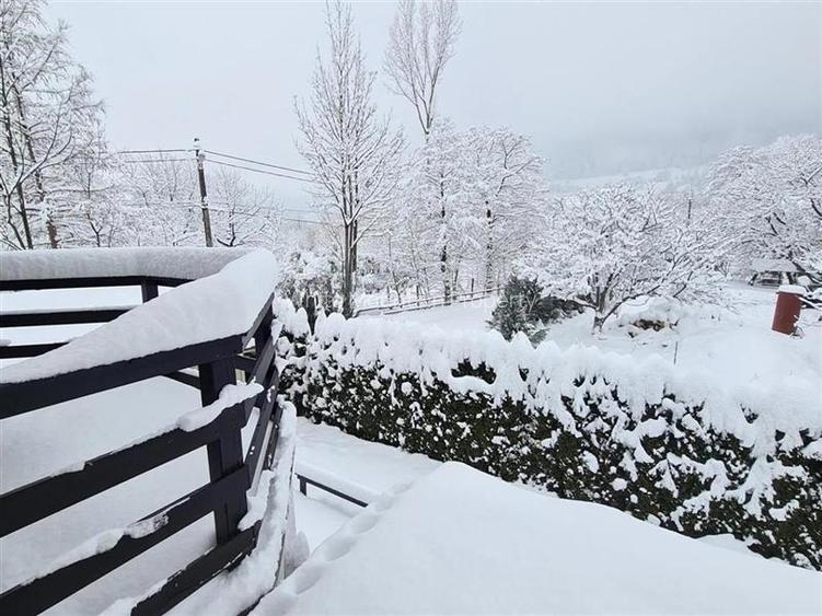 Vila cu SPA | Resedinta, casa de vacanta sau Afacere la cheie Airbnb - 19