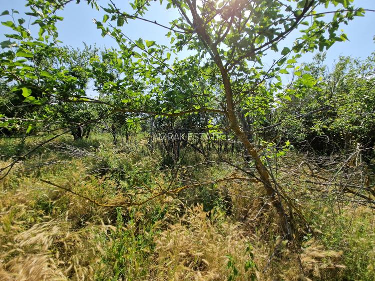 Teren langa lac - 40 km de Bucuresti - 7