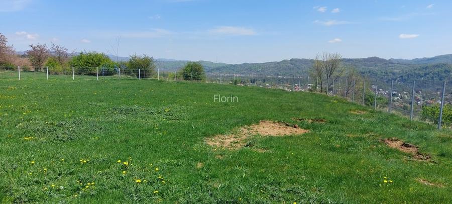 Teren Campina varful Muscel - 7