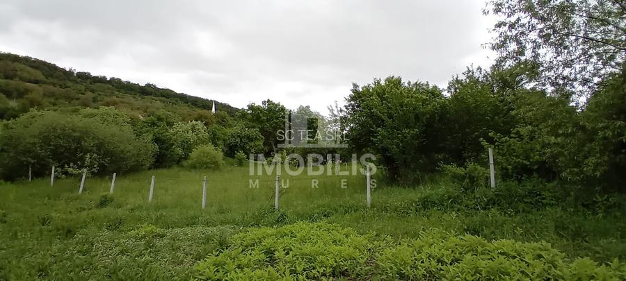 Teren intravilan | Budiu Mic | 994 mp - 5