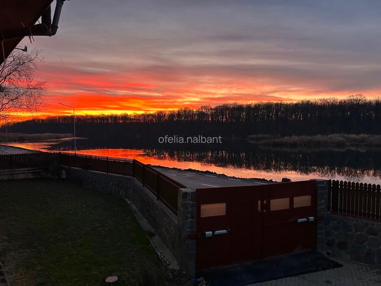 Casa din Padure  - 10