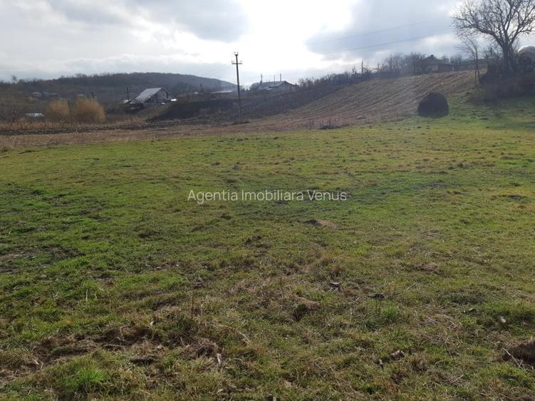 Loc de casa intravilan la Stancesti - 2