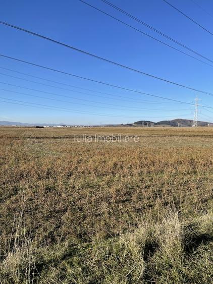 Teren intravilan Triaj - 4