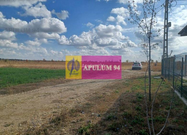 Gulia, teren intravilan curti-constructii, 523 mp - 3