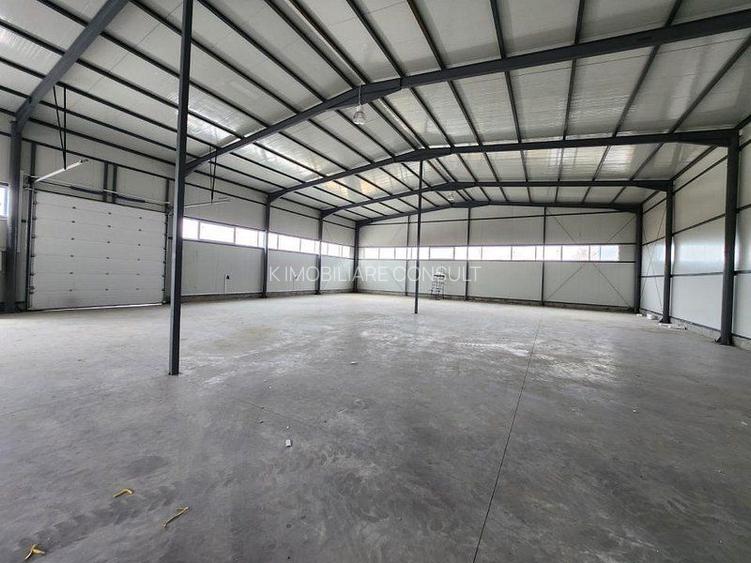 Pantelimon hala noua 500 mp - 11