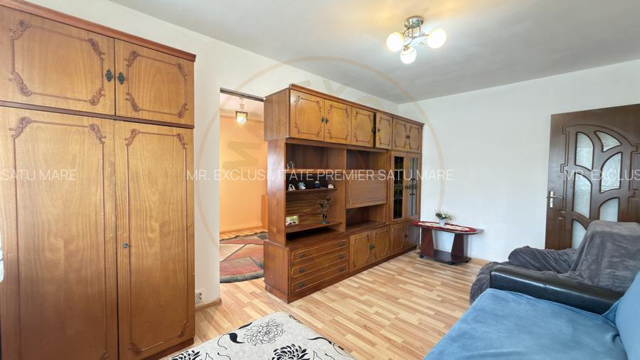 Apartament 2 camere Zona Penny Etaj III, Ignișului 26 - Carei - 12