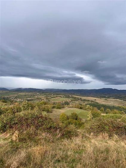 TEREN | 9341 MP | BALNACA GROSI | BIHOR - 10