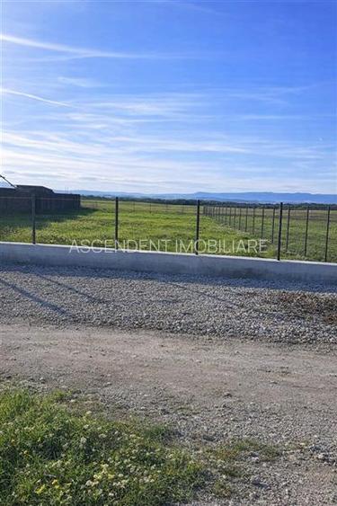 800mp teren intravilan, ingradit, cu facilitati, Bod, Brasov - 2