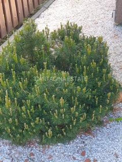 Vila eleganta P+1   proximitate Cambrige   Jolie Ville   Padure - 32