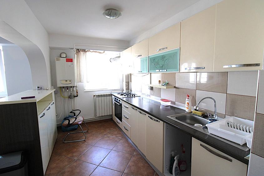 Apartament cu 3 camere  in zona I. C. Frimu (pe Nae Leonard) - 3