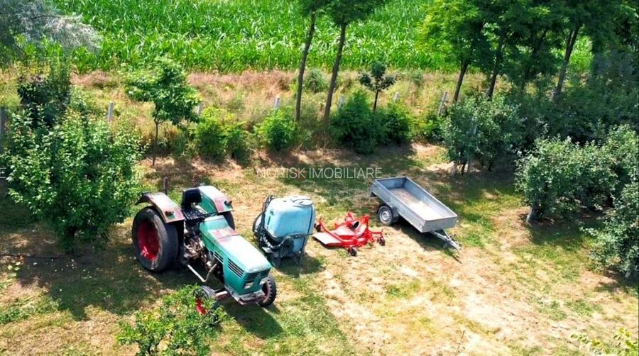 Vila + Afacere 15.000mp Clinceni - 28