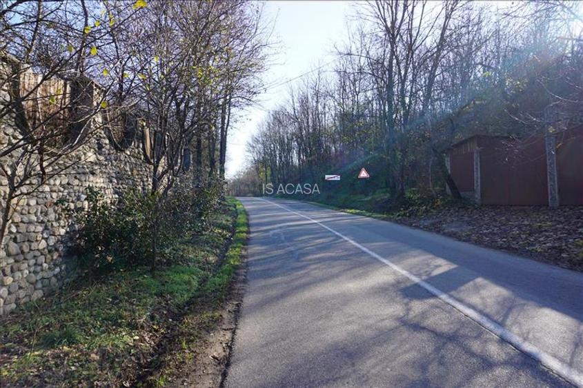 Teren de vanzare in Leamna de Jos - 11