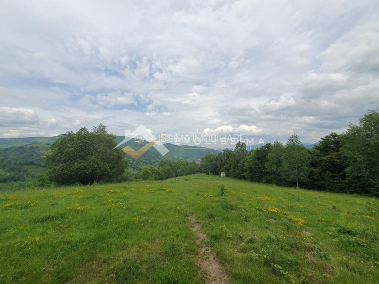 Investitie Teren intravilan 11.396 mp Moieciu de Jos - 2