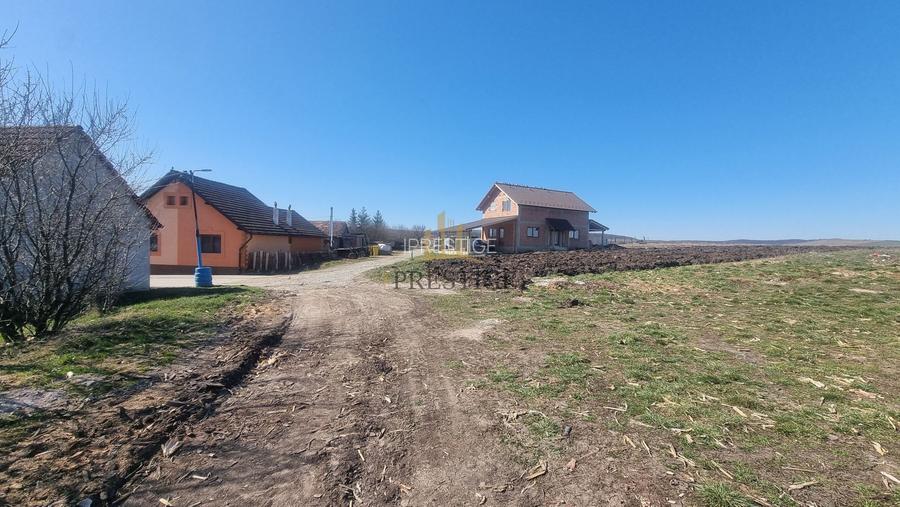 TEREN INTRAVILAN PENTRU CONSTRUCȚIE CASĂ | ȘURA MICĂ | PUZ APROBAT - 7