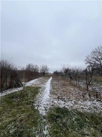 Casa individuala pe un singur nivel cu teren de 800 mp zona Turnisor - 3