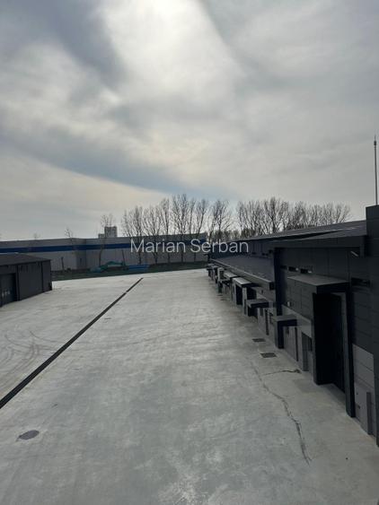 De închiriat hale industriale – Constanța Str. Celulozei (Zona Dobrogea) - 2