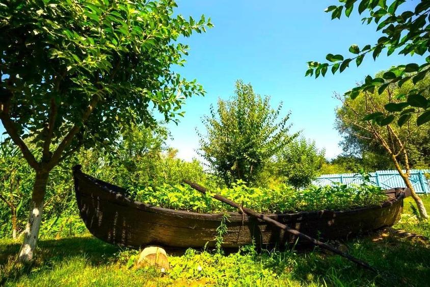 Oportunitate de investitie| Delta Dunarii |Mila 23| pensiune activa - 5