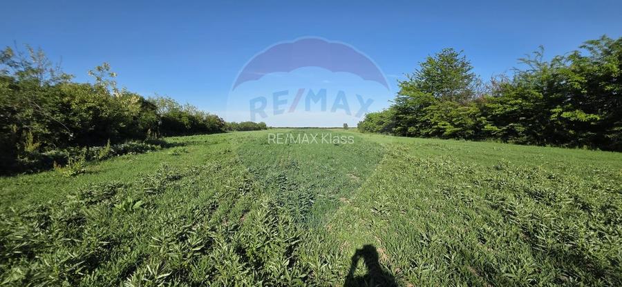 Teren de vanzare – 9458 mp – Bujoreanca Comuna Cornesti - 5
