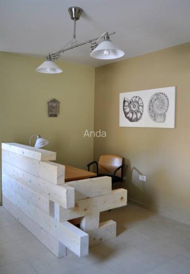 Pensiune + casă de oaspeți, Clisura Dunării, Șvinița - 7