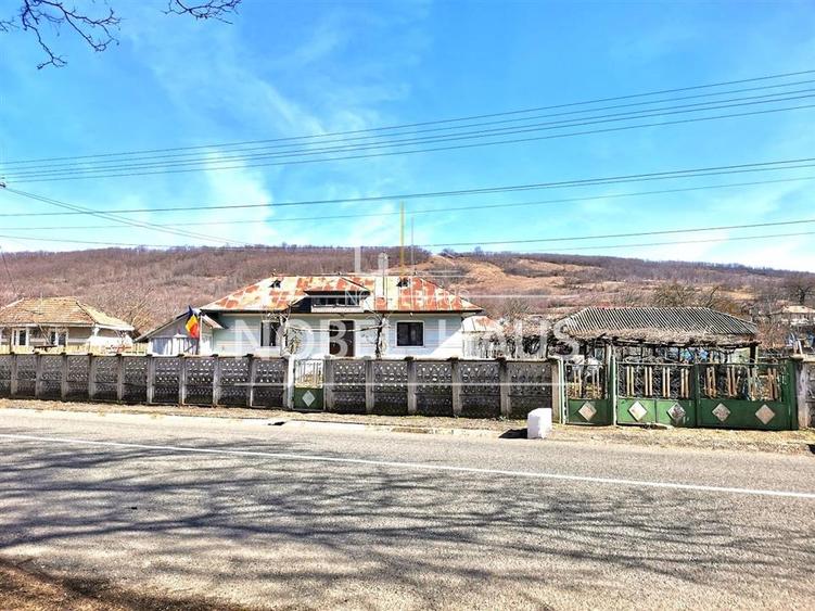 Casa, teren si padure, in sat Siscani, jud Vaslui - 12