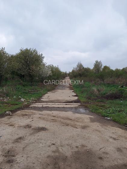 Teren intravilan Calea Borsului - 5