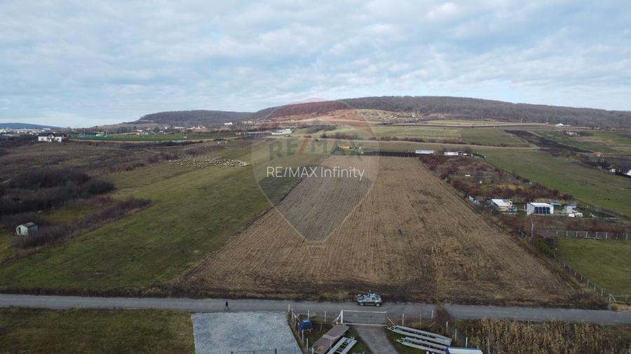 Teren 19.375 mp Dâmbu Rotund. Potențial rezidențial. Extravilan - 10