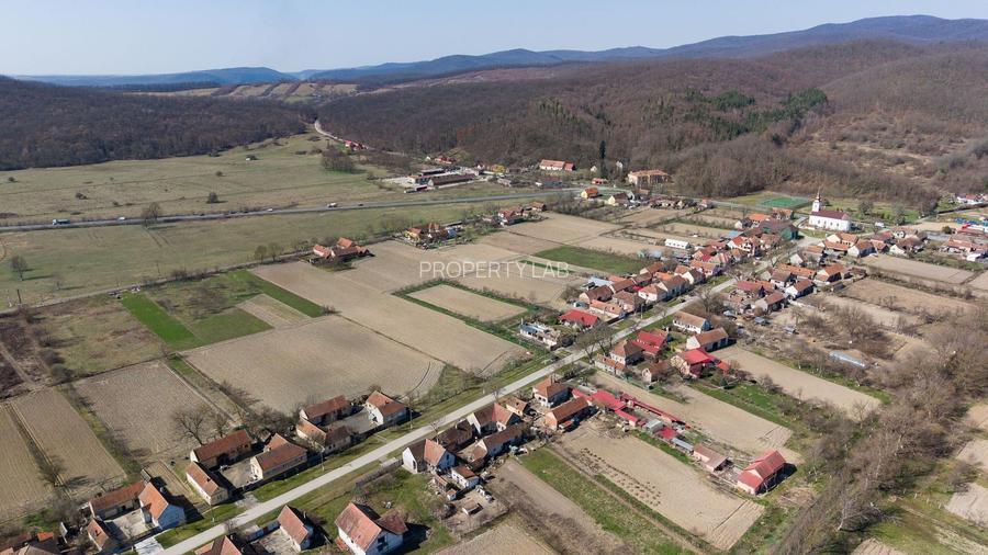 Loc de casă în Odvoș - Conop 3000mp - 25