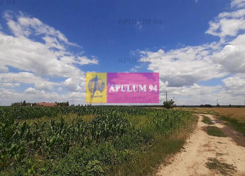 Teren 715mp în Snagov lângă Equestria - 32