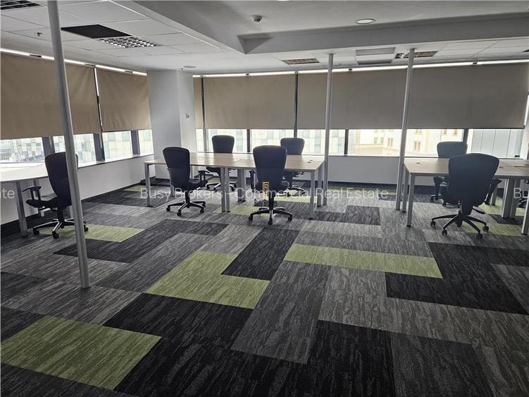 Spatii Birouri - 500 la 3500 mp - Parcul Sub Arini - 11