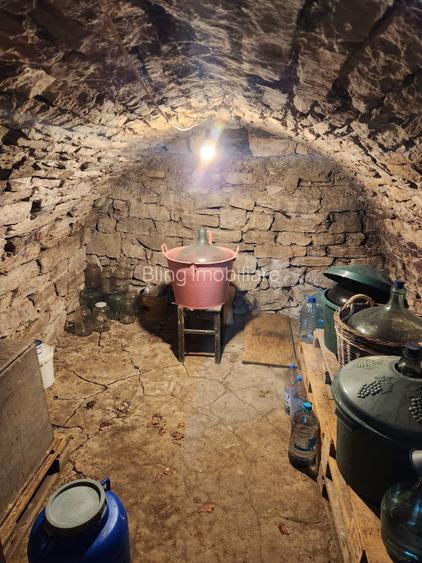 Casa idividuala de vanzare cu teren de 1000 mp - 16