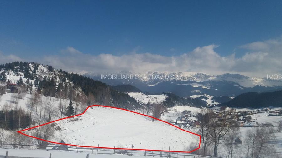 TEREN EXTRAVILAN SAT FUNDATA - 3