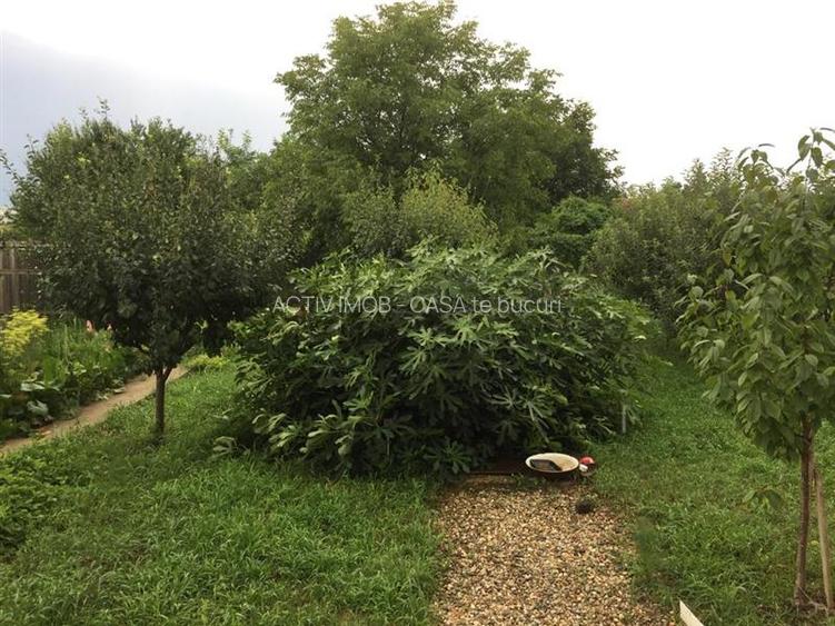 Vanzare Vila Monumentul Eroilor- Clinceni P+1 - 4