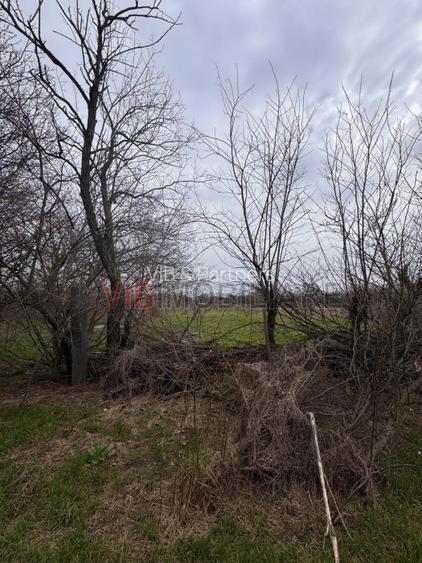 Jilava - Centura Bucuresti - teren intravilan 423 mp - 4