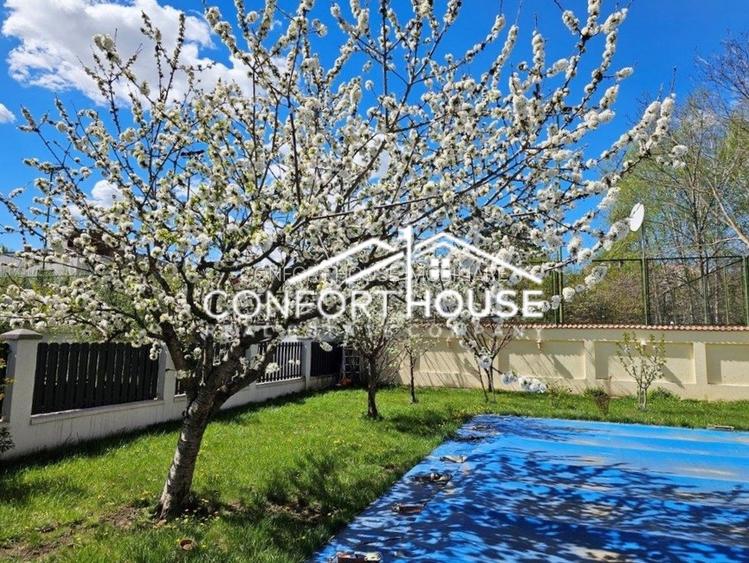 Vila D+P+E+M, teren 898mp, piscina, IANCU NICOLAE-Cambridge School - 18