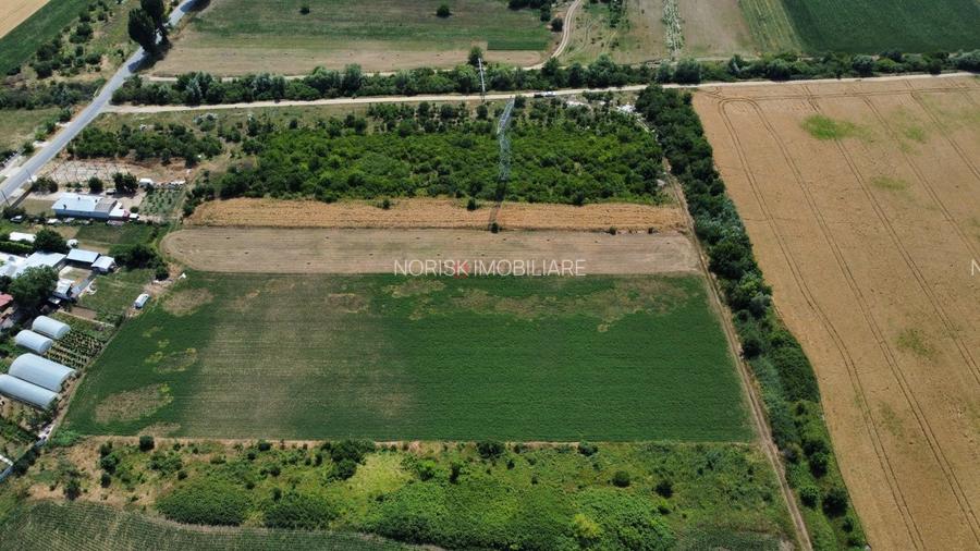 Teren Constructii Intravilan 4750mp SABARENI - 0% COMISION - 6