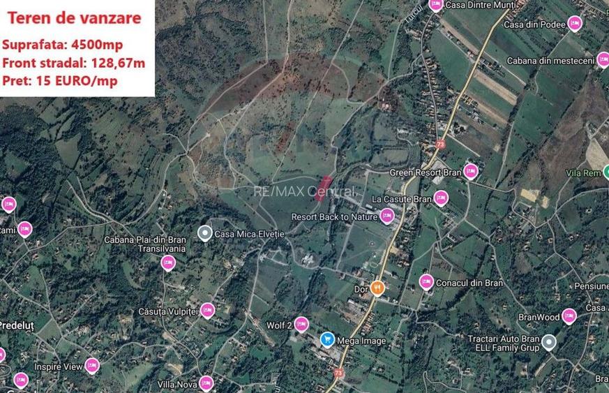 Teren Tohanul Nou 4500mp, in spate Wolf - 16