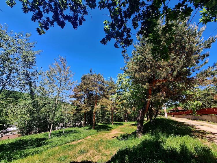 Teren intravilan de vânzare-3600 mp-str. Visinilor-Cisnadioara! - 4