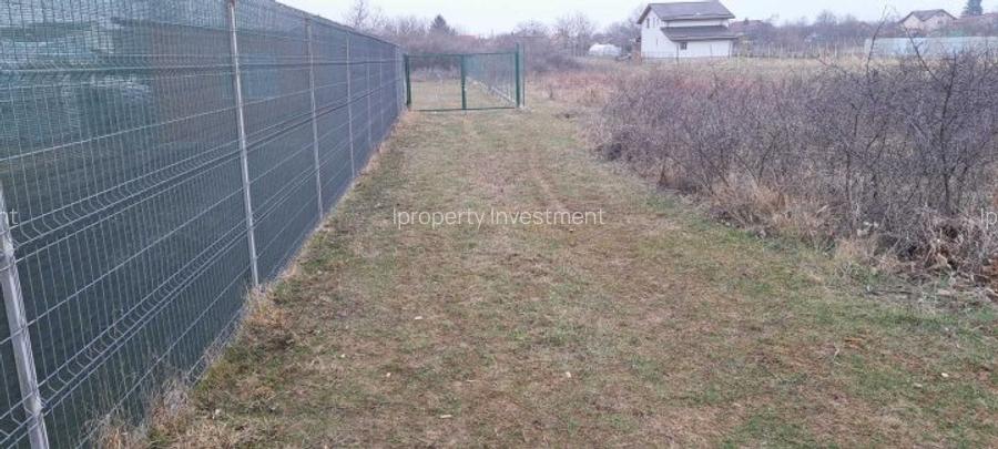 Teren Intravilan | Clinceni | 922mp - 3