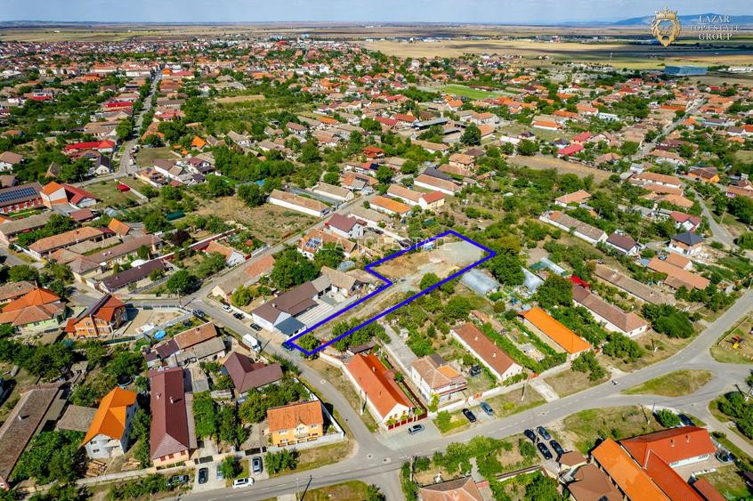 Teren Intravilan 2000 mp in Vladimirescu - 10