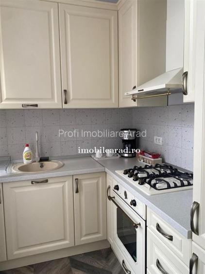 Apartament 60 Euro pe zi, amenajat in stil unic langa Primaria Arad - 14