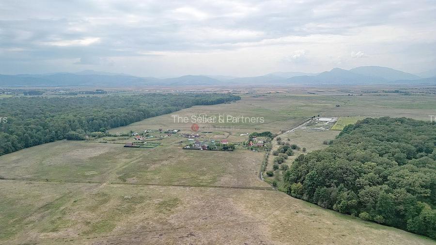 Teren Extravilan - 23