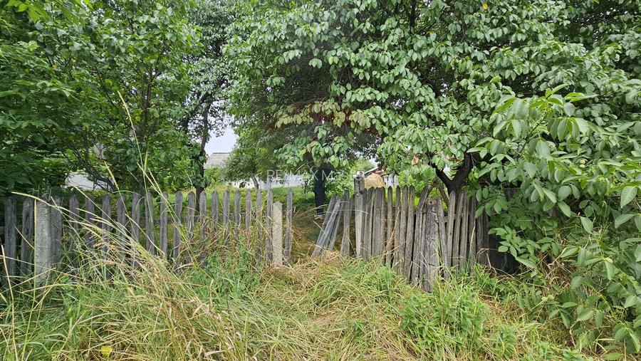 Casa  de vânzare cu teren 9200 mp, Pădureni-Șendriceni, Botoșani - 21