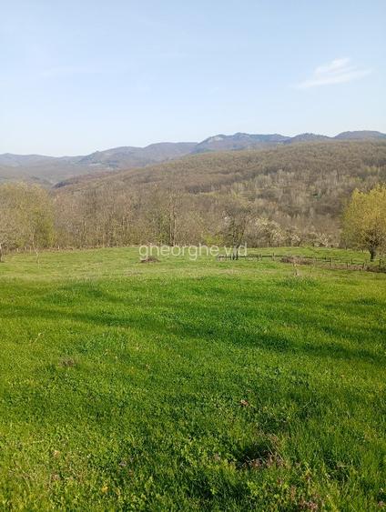 Vând terenuri,intravilane și extravilane !!! - 11