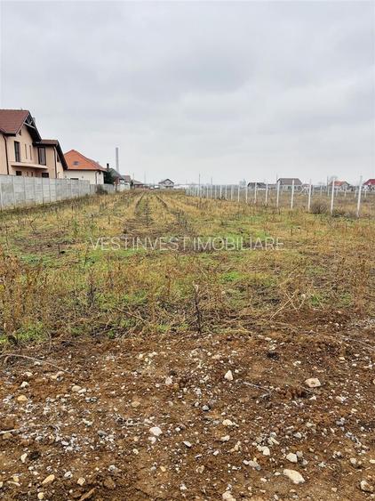 Teren intravilan Oradea Oncea - 2
